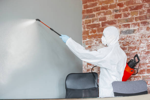 Best Air Quality Testing for Mold Spores  in Cowpens, SC