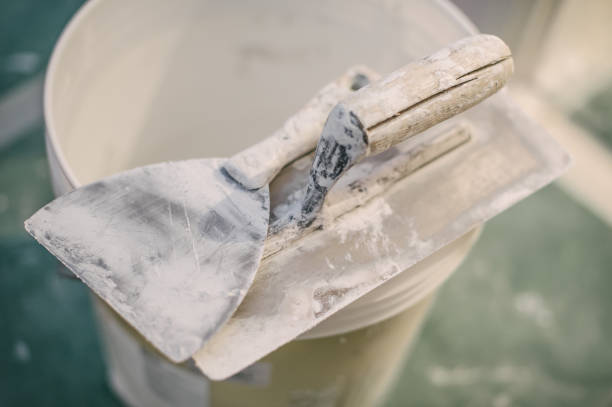Best Asbestos and Lead Testing During Mold Inspection  in Cowpens, SC